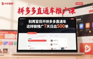 拼多多直通车推广课，别再盲目开拼多多直通车，这样做推广7天日出500单-八爪鱼资源库
