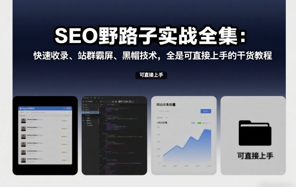 SEO野路子实战全集:快速收录、站群霸屏、黑帽技术,全是可直接上手的干货教程-八爪鱼资源库