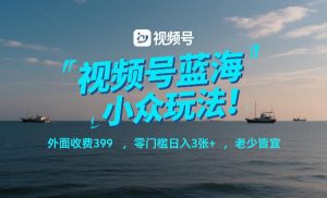 视频号蓝海小众玩法！外面收费399，零门槛日入3张+，老少皆宜-八爪鱼资源库
