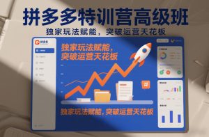拼多多特训营高阶班，独家玩法赋能，突破运营天花板（更新26年2月）-八爪鱼资源库