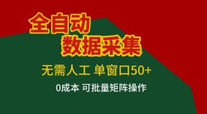 全自动数据采集项目，无需人工，单窗口可达50+收益，操作简单无难度，一个人也能轻松实现矩阵【揭秘】-八爪鱼资源库
