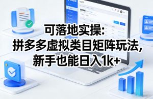 可落地实操：拼多多虚拟类目矩阵玩法，新手也能日入1k+【揭秘】-八爪鱼资源库