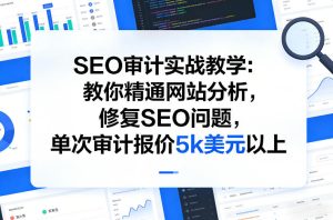 SEO审计实战教学:教你精通网站分析,修复SEO问题,单次审计报价5k美元以上-八爪鱼资源库