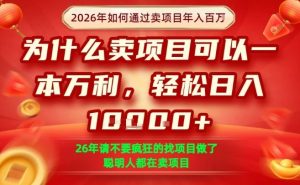一单净利润1K+,26年想年入100个W,死磕卖项目就够了【揭秘】-八爪鱼资源库