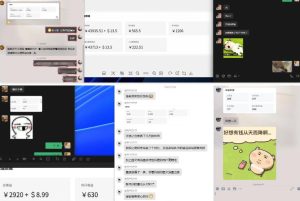 雷神加速器项目模拟器_无脑1分钟1条视频矩阵_疯狂报单打法【焚诀】-八爪鱼资源库