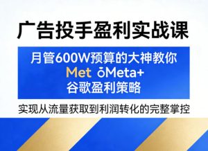 广告投手盈利实战课,月管600W预算的大神教你Meta+谷歌盈利策略,实现从流量获取到利润转化的完整掌控-八爪鱼资源库
