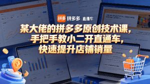 某大佬的拼多多原创技术课，手把手教小二开直通车，快速提升店铺销量-八爪鱼资源库