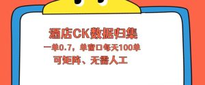 上班也能玩的酒店CK数据归集，一单0.7单窗口每天可做100单，一个人就能矩阵操作【揭秘】-八爪鱼资源库