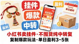 小红书卖挂件，不囤货纯中转复制爆款玩法，单日盈利3-5张-八爪鱼资源库