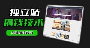 干货来袭！麦子甜带你吃透独立站｜从搭建到引流一站式教学《独立站》第一期-八爪鱼资源库