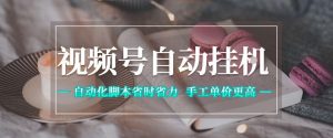 视频号自动挂G项目,自动化脚本省时省力,手工单价更高,日入300+全网最稳【揭秘】-八爪鱼资源库