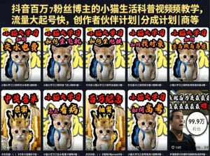 抖音百万粉丝博主的小猫生活科普视频教学，流量大起号快，创作者伙伴计划|分成计划|商单|收徒等-八爪鱼资源库