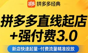 拼多多直线起店+强付费3.0，教你稳定起店、高效控投产、破解流量瓶颈（更新4月）-八爪鱼资源库