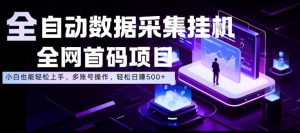 全自动数据采集挂G,全网首码项目,简单易操作,小白也能轻松上手,多账号操作,轻松日入500+【揭秘】-八爪鱼资源库