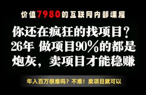 26年请不要疯狂的找项目了，卖项目远比你想象的暴利，你也可以月入10W+【揭秘】-八爪鱼资源库