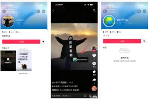 最强抖音引流-隐藏式暂停跳钩子，效果自测-八爪鱼资源库
