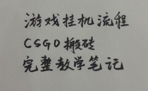 游戏挂G全流程笔记分享,CSGO游戏搬砖,小白看了当天学会见收益【揭秘】-八爪鱼资源库