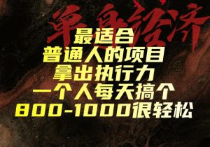最适合普通人的项目,拿出执行力一个人每天搞个800-1k很轻松【揭秘】-八爪鱼资源库